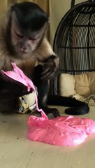 Look what mom did to me! And my dad isn’t even coming to save me.... Excuse my diaper cover but holes are in style Incase you didn’t know!