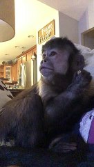 Watch tv  making Mom rub my feet and playing with earrings