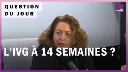 IVG : que peut changer un allongement du délai légal à 14 semaines ?