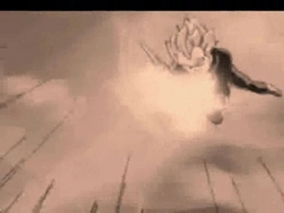 amv dbz sangoku_vegeta defi contre vegeku_95 et onepiece010