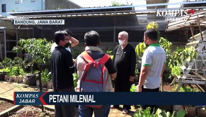 Mari Beternak Burung Puyuh. Biar Benghar