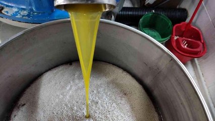 Ağaçlar yandı, zeytin yağı 50 lirayı buldu