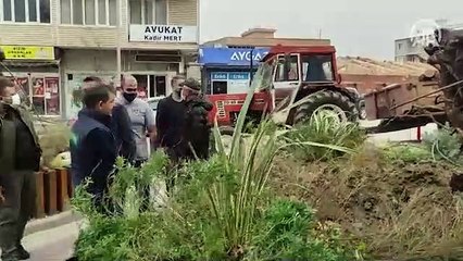 270 yıllık çınar ağacı kuvvetli lodos sebebiyle devrildi