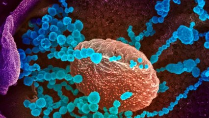 Primetime: What are ways to stop spread of 'Omicron'?