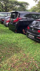 Rooster Battles Its Own Reflection