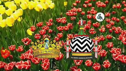 #WADI RAZA KI HAI HIMALA RAZA KA HAI JIS SAMT DEKHIYE ILAKA RAZA KA HAI