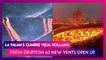 La Palma's Cumbre Vieja Volcano: Fresh Eruption As New Vents Open Up, 'Mega-Tsunami Theory' Goes Viral As Lava Continues To Flow For Two Months