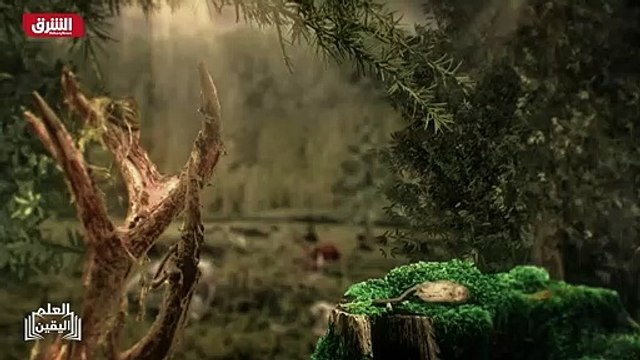 ...معبدة في المنازل والشوارع ويتم رش الحقول...