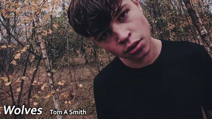 Tom A Smith:  Wolves