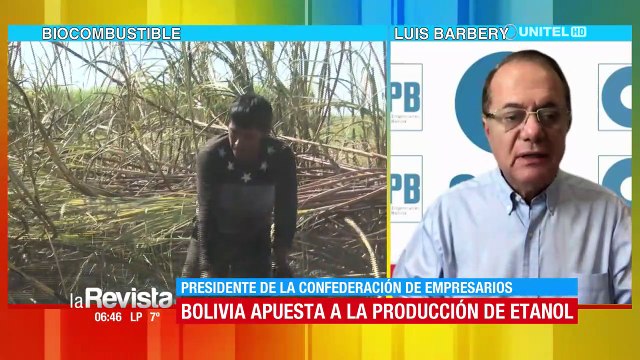 Empresarios: Etanol es amigable con el medio ambiente y se puede mezclar con la gasolina