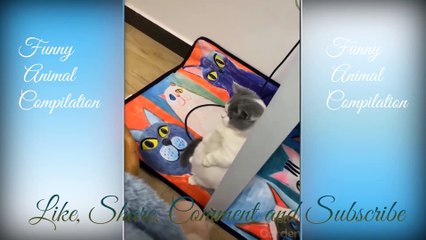 Cute And Funny Pets - Try Not To Laugh - Pets Compilation #PART2