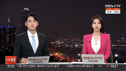 밤거리에 4살 딸 버린 엄마 구속…"도주 우려"