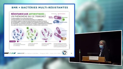 Le risque infectieux en hémodialyse : focus sur le risque viral ( hépatite B,C,E et VIH) sur les Bactéries Multi Résistantes et les Bactéries Hautement Résistantes. N.Raynal