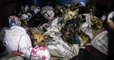 Indonésie : 52 chiots ont été sauvés d'un camion insalubre les transportant vers un abattoir illégal de viande de chien