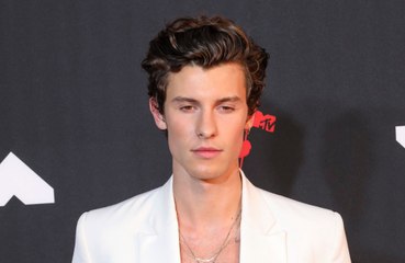 Shawn Mendes: Der Lockdown war besonders