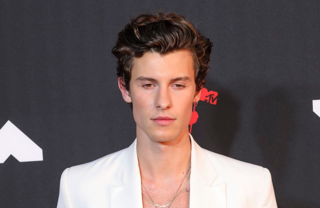 Shawn Mendes: Der Lockdown war besonders