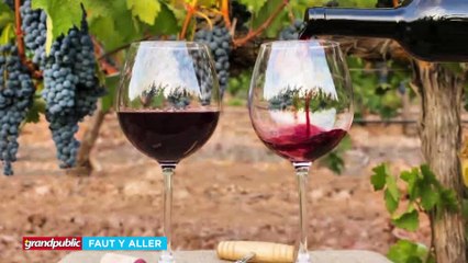 BÉNIN | SALON INTERNATIONAL DU VIN : DORCAS CODJIA ANNONCE LA 3ÈME ÉDITION