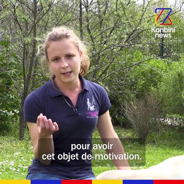 Je suis éducatrice de chiens guides d’aveugles | GOOD JOB