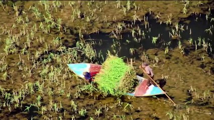 ...المقبل في نفس الموعد الخامسة بتوقيت الري...