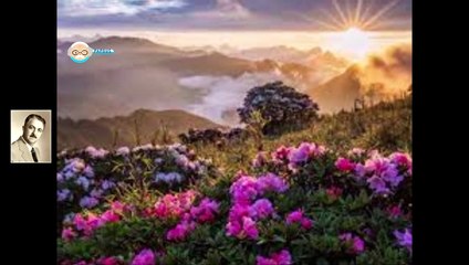 Ο ήλιος ,   The sun  - Ilias papageorgiou