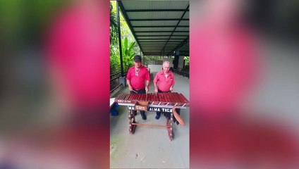 ext-dia-internacional-de-la-marimba-301121