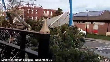 More of the aftermath of Storm Arwen in Sunderland