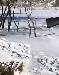 Frigid Fall Into Freezing Water