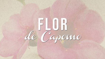 Nuevo Trayecto - Flor De Capomo
