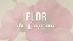 Nuevo Trayecto - Flor De Capomo