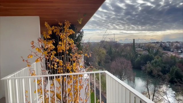 Il bosco verticale , l'architetto Boeri: Il verde come parte essenziale del progetto