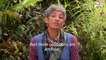 India's all-female rainforest team take on cobras to protect biodiversity