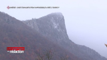 Ariège : une cohabitation impossible avec l'ours ?