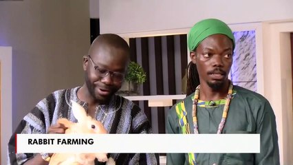 Rabbit Farming - Prime Morning on JoyPrime (3-12-21)