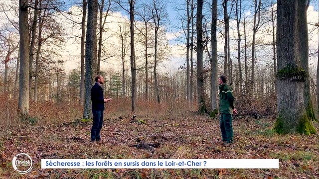 L'Invité de la rédaction - 03/12/2021 - Yann Vandebeulque, Responsable de l'unité territoriale Loir-et-Cher à l'office national des forêts