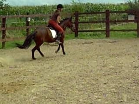 Concours intime 15/08/07 Thiméon