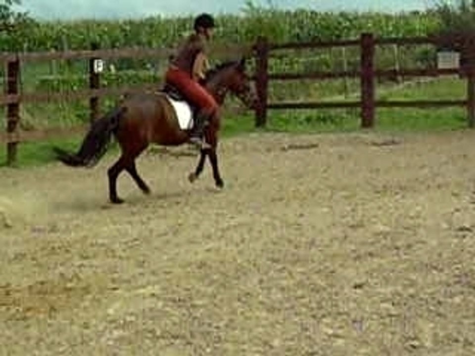 Concours intime 15/08/07 Thiméon