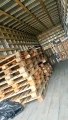 2 mil garrafas de vinho apreendidas em Bom Retiro, na Serra de SC