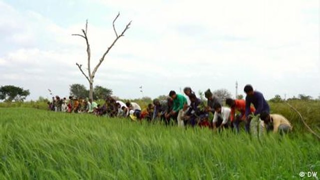 Do carbon-neutral companies even exist?