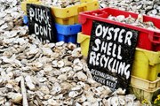 New Bins Let New Orleans' Residents Recycle Oyster Shells for Reefs