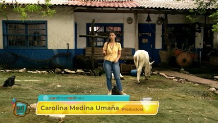DESDE LA GRANJA BURROS DEL PORTAL EN SAN JOAQUIN DE FLORES