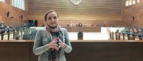 ext-declaraciones-diputada-301121