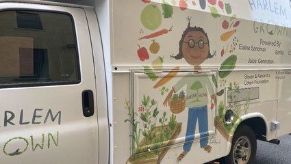 Urban farm in Harlem prepares for winter