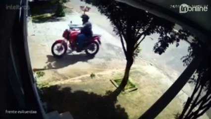 Com raquete de matar mosquito, idosa se defende de assalto