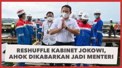 Reshuffle Kabinet Jokowi, Ahok Diisukan Jadi Menteri