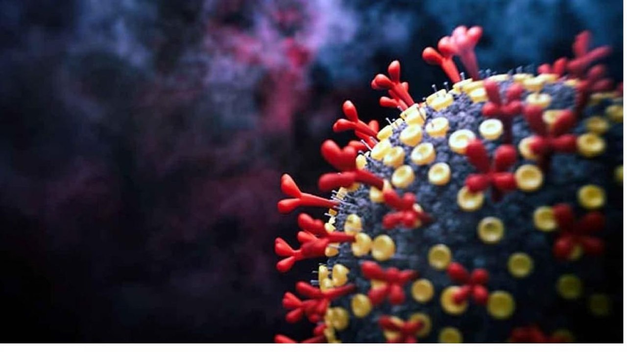 Omicron targets people under 40, SA scientists confirm
