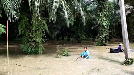 เกาะติด "น้ำท่วมภาคใต้" สุราษฎร์ฯ เฝ้าระวังต่อ รับน้ำระลอกใหม่จากเมืองคอน