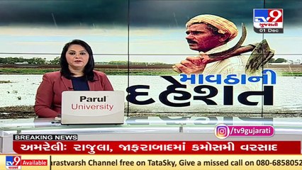 Farmers fear crop loss due to unseasonal rain in Gujarat _ TV9News