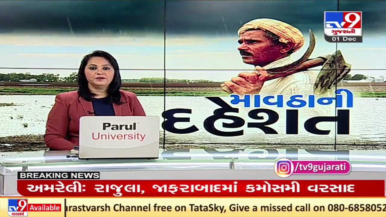 Farmers fear crop loss due to unseasonal rain in Gujarat _ TV9News