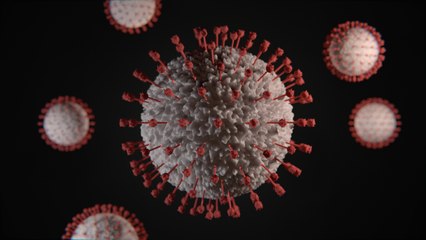 EXPLAINER: What is known about the Omicron COVID-19 variant