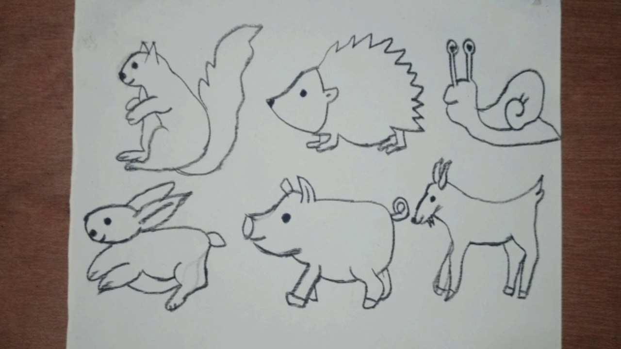 How to draw easy animals